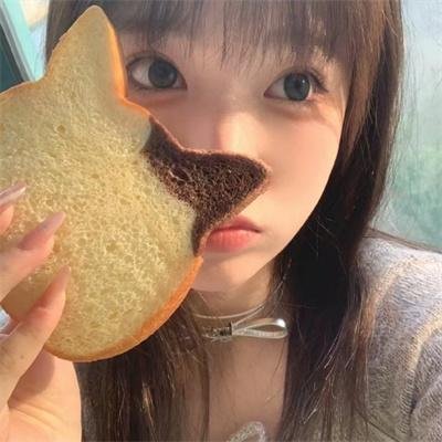 如果历史是一群喵第一季